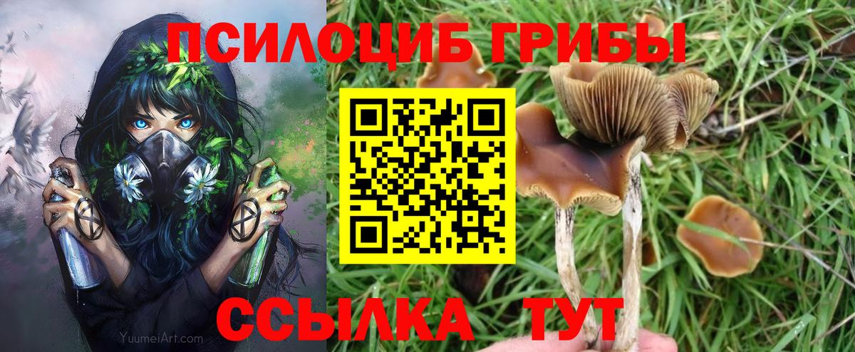 Ковров  Псилоцибиновые грибы мухоморы  Вход с VPN 